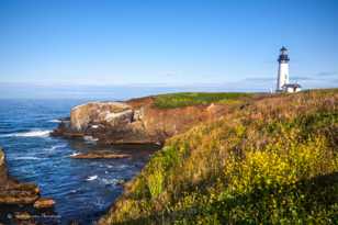 Yaquina Head Lighthouse-0310.jpg